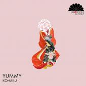 discography image