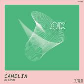 discography image