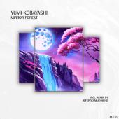 discography image